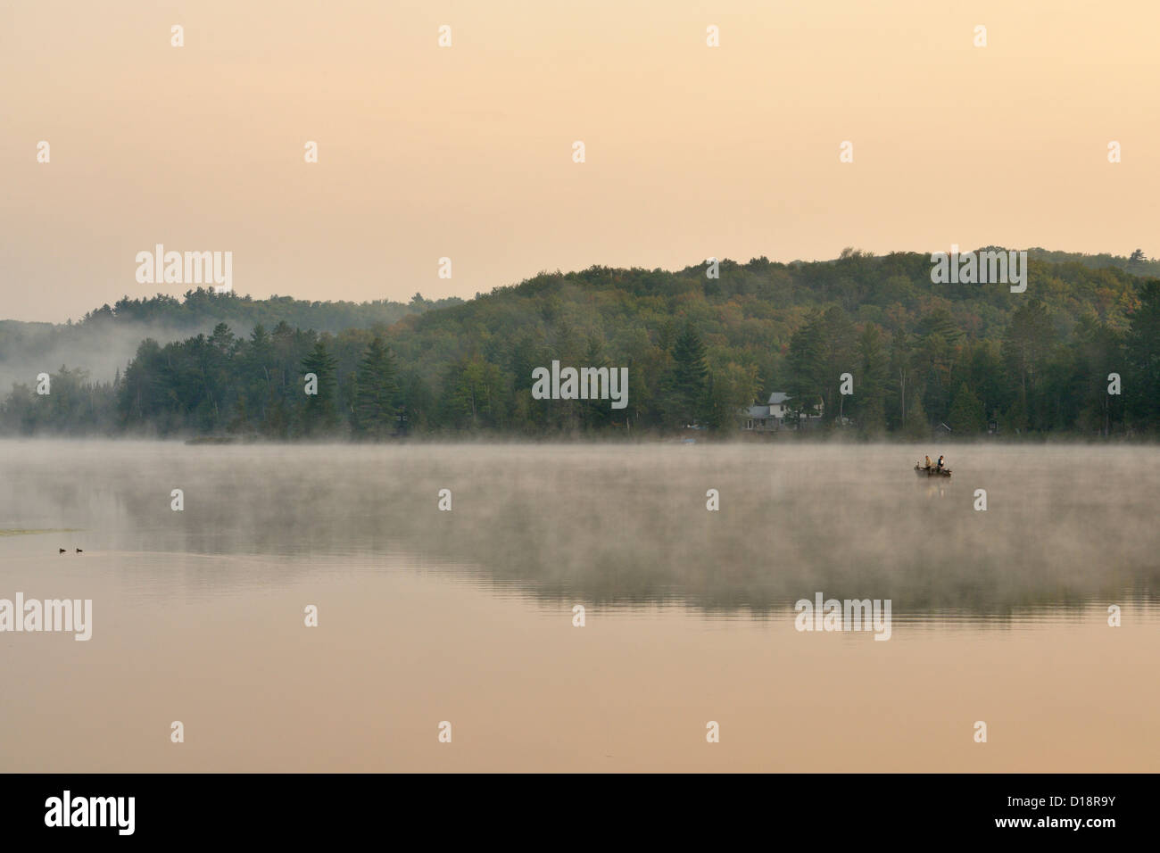 Morning mists at dawn on Ruth Lake, Three Lakes, Michigan, USA Stock