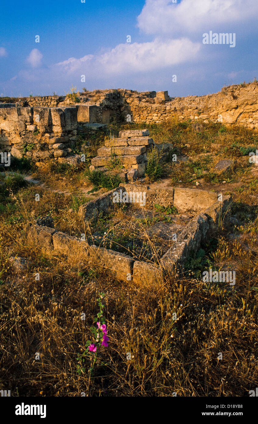 Antique city gate at the archeological site of Ugarit near Lattakia, Syria Stock Photo