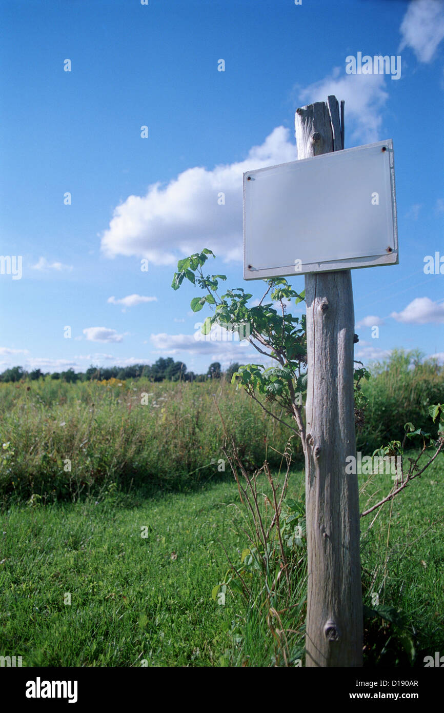 Blank sign in a field Stock Photo - Alamy