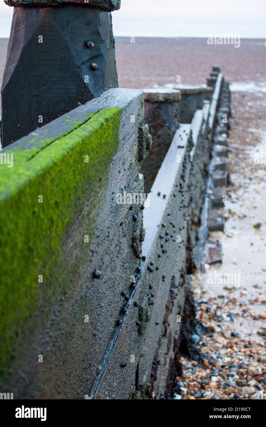 Whitstable Beach Sea Defense Stock Photo