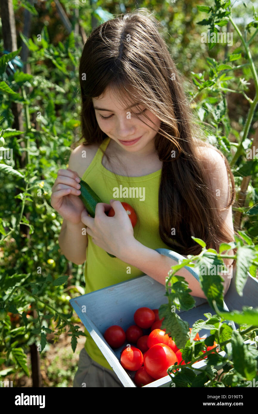 Girl holding basket of tomatoes Stock Photo - Alamy