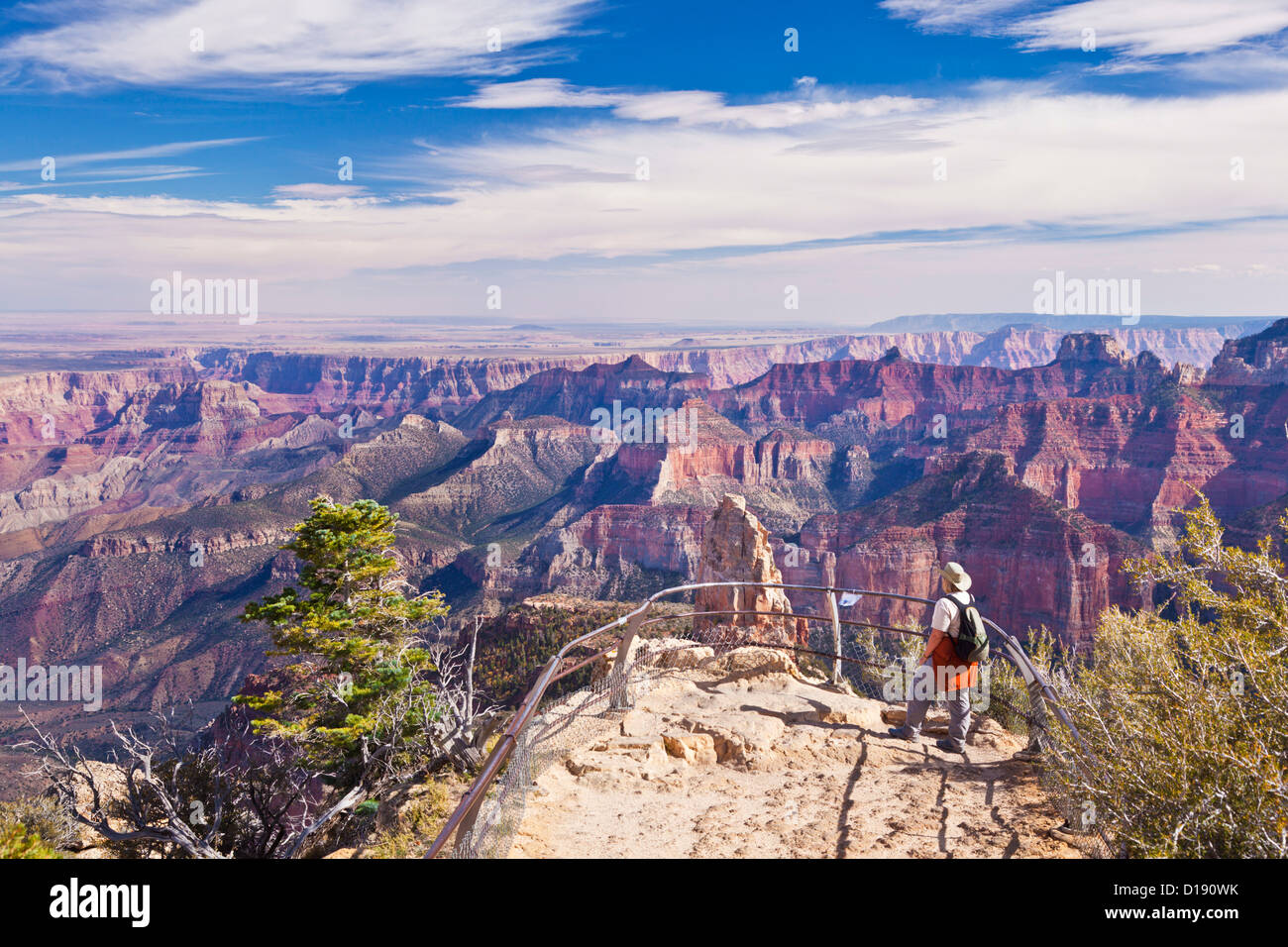 Tourist overlooking Mount Hayden at Point Imperial at the north rim of the Grand Canyon Arizona USA United States of America Stock Photo