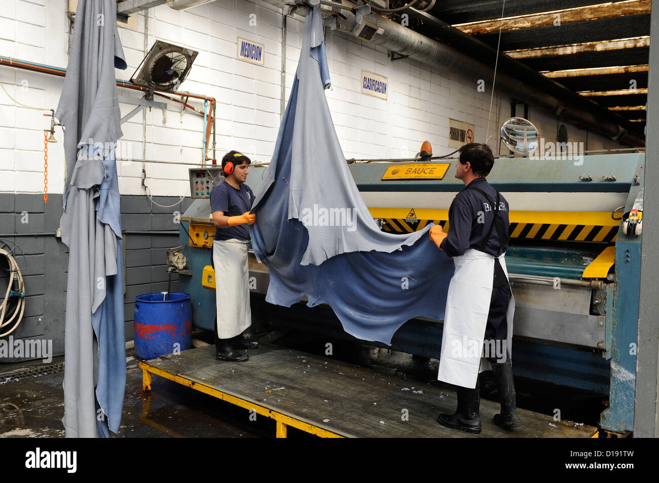 URUGUAY San Jose, tannery Bader production of leather from cow skin for car seats of BMW and other car brands, Wet Blue refers to moist chrome-tanned leather. The bluish colouring is produced by the chrome tanning agent Chromium III oxide which is blue and is contained in the leather after tanning Stock Photo