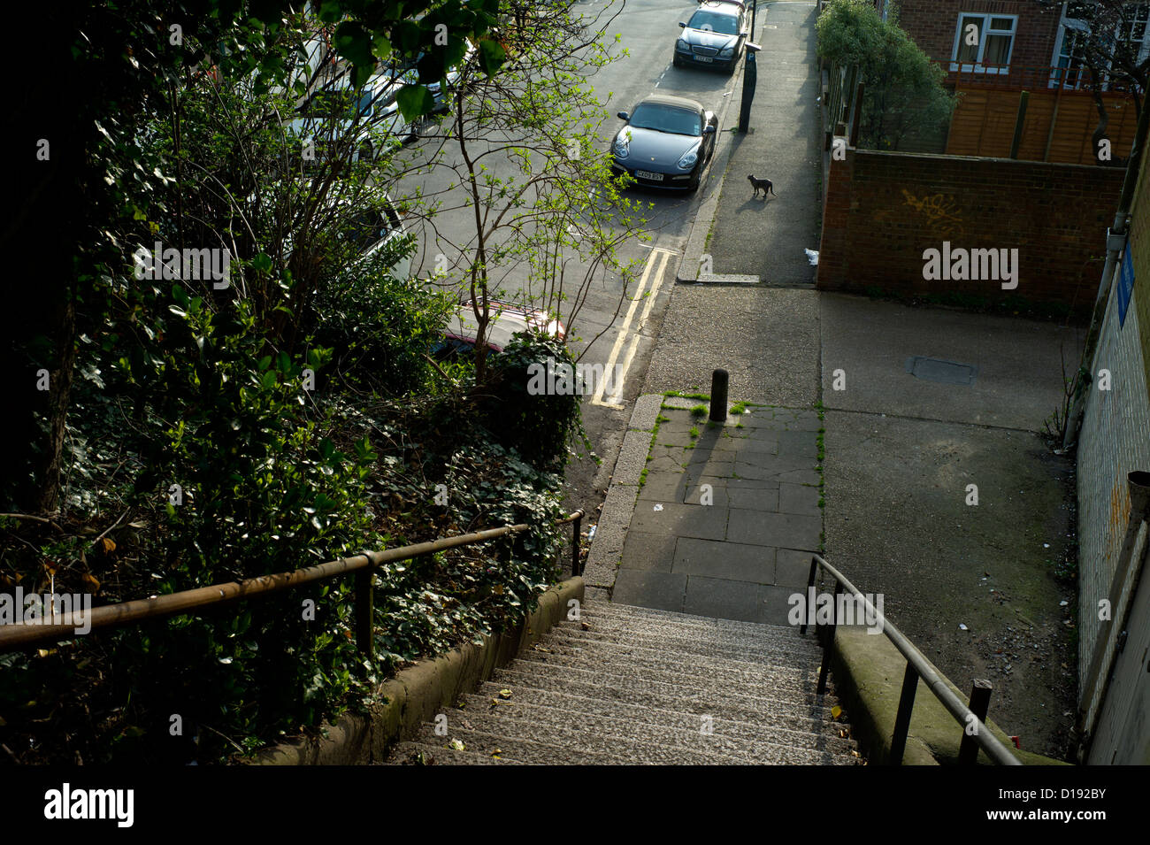 Steps and railings leading down to street. Distant cat, cars. Long shadows Stock Photo