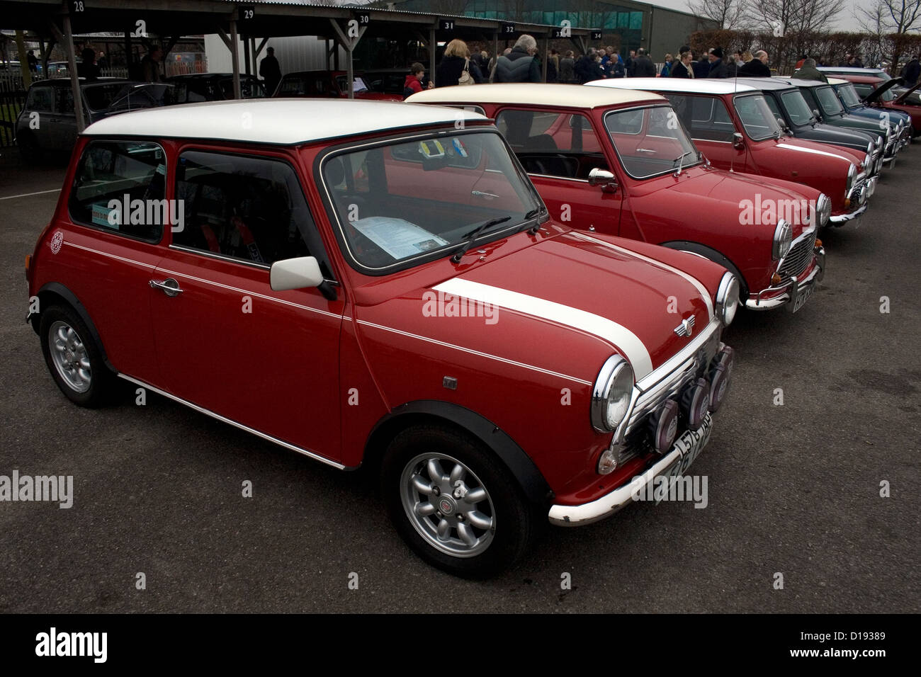 Red bull mini car hi-res stock photography and images - Alamy, mini car can  