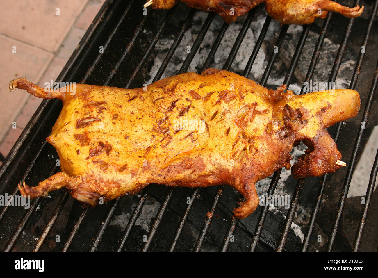 Roasted Cuy or Guinea Pig split, seasoned and roasting over coals is a local delicacy in Cotacachi, Ecuador Stock Photo