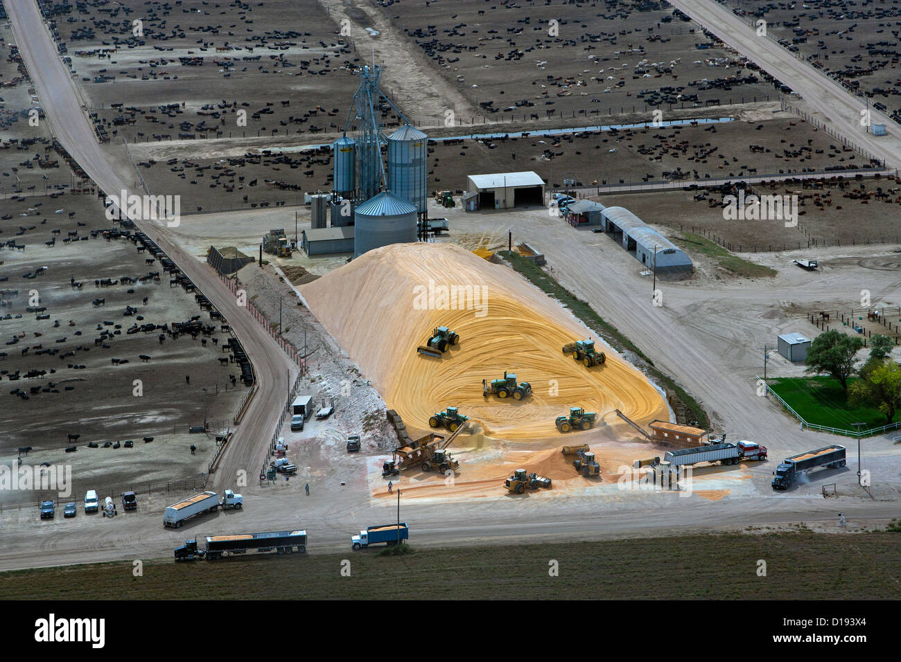 aerial photograph corn deliveries cattle feedlot Nebraska Stock Photo