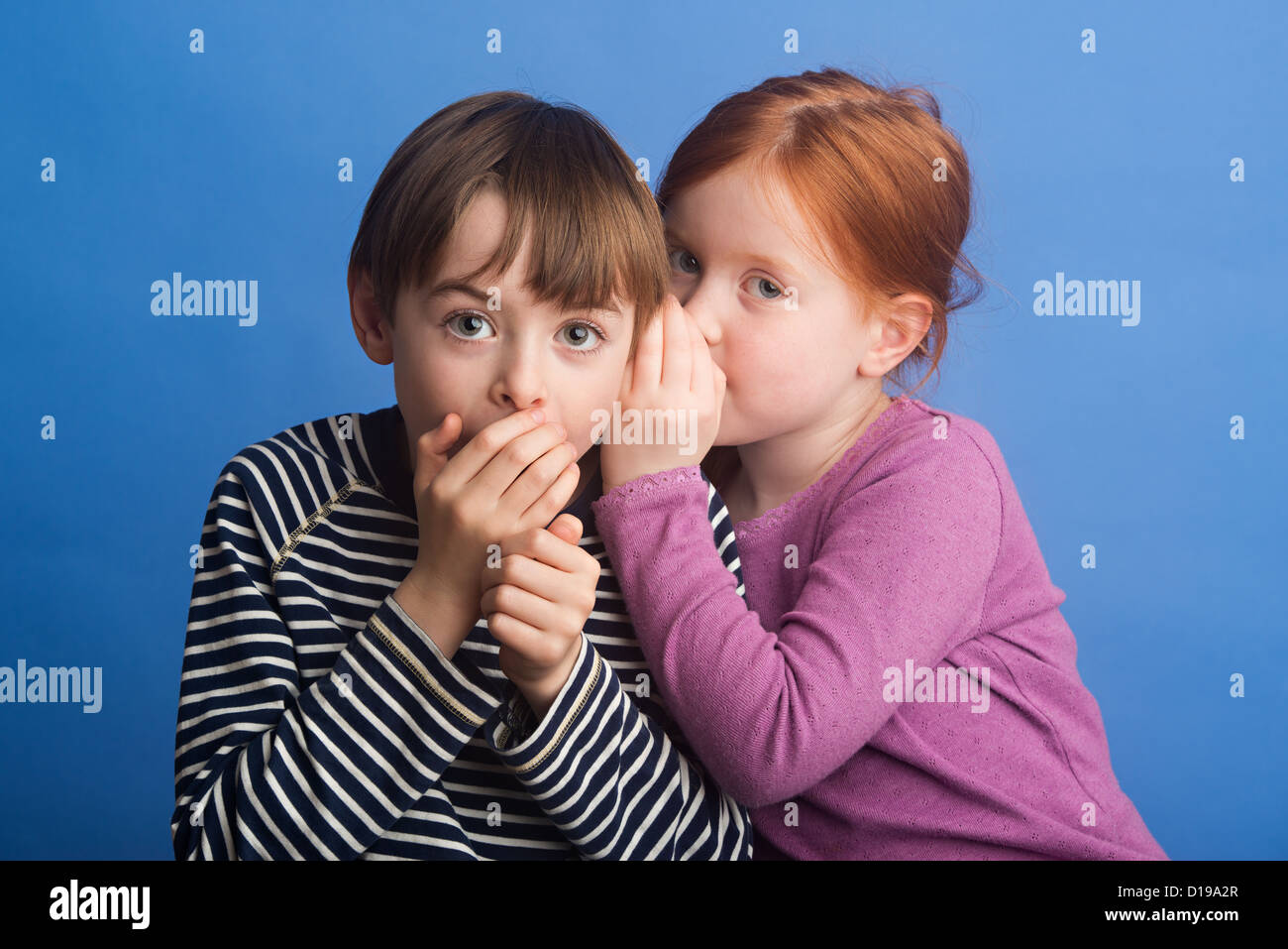 Girl aged 6 and boy 8 on a blue background whispering in ear to improve hearing. Showing use of the sense to hear. Stock Photo