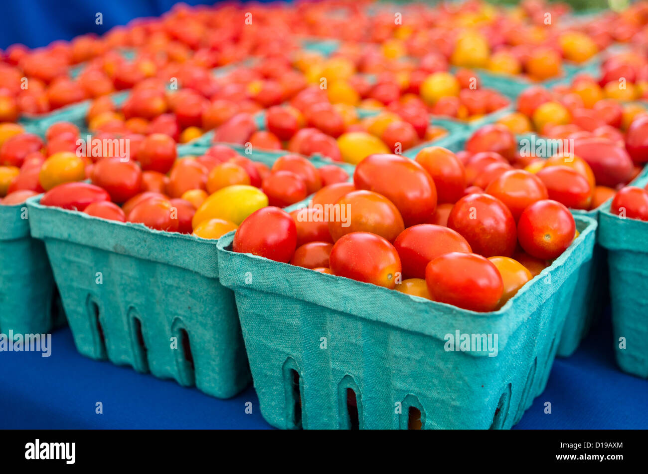 Baskets of fresh cherry tomatoes at the market Stock Photo - Alamy