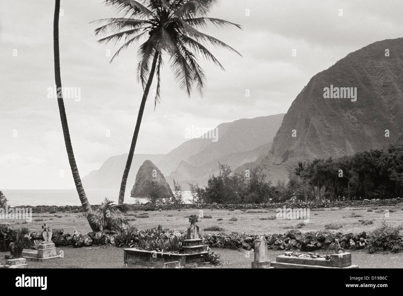 Hawaii, Molokai, Kalaupapa, Graveyard And Palms (Sepia Photograph). Stock Photo