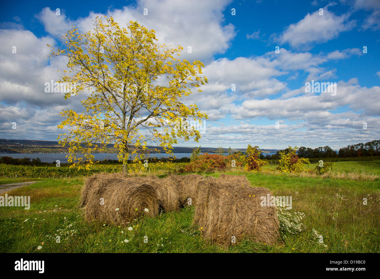 Fall color in the Finger Lakes region of New York state Stock Photo