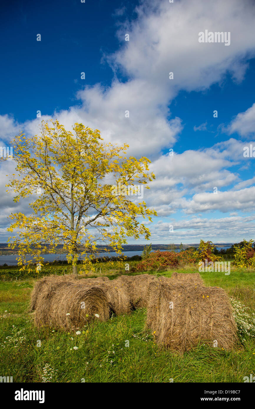 Fall color in the Finger Lakes region of New York state Stock Photo