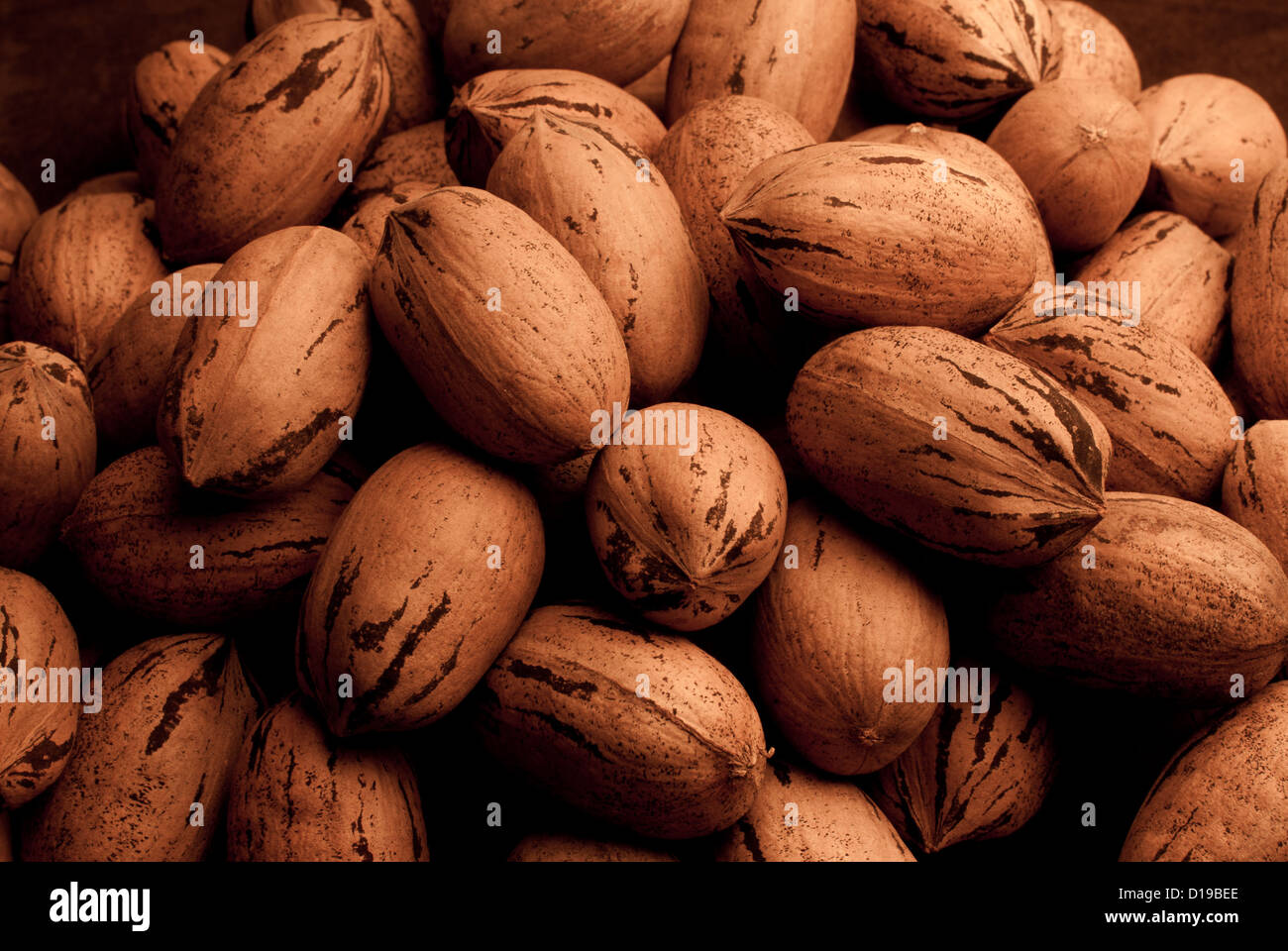 A photograph of pecans in shell Stock Photo Alamy