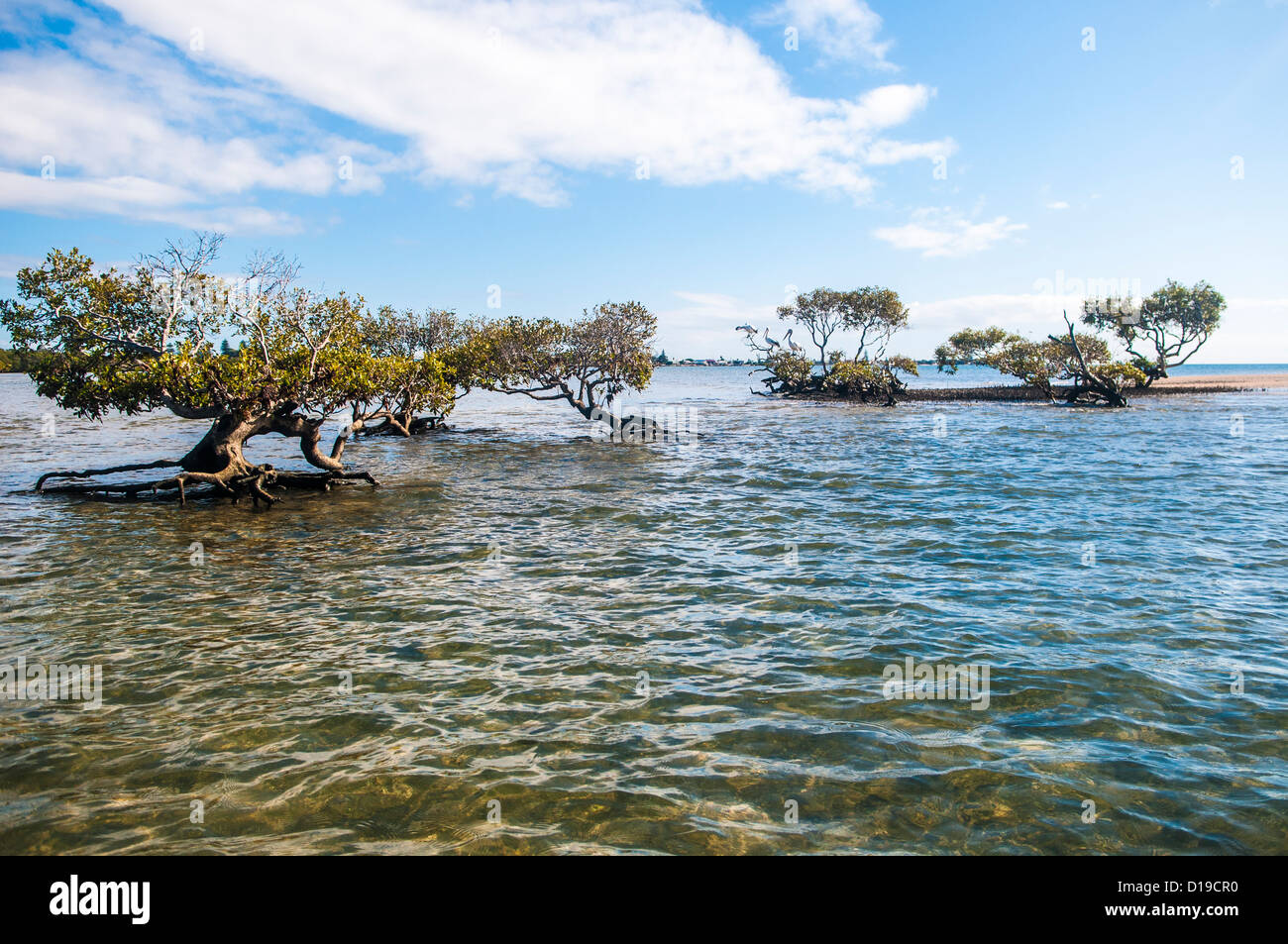 moreton bay high voyeur Xxx Photos