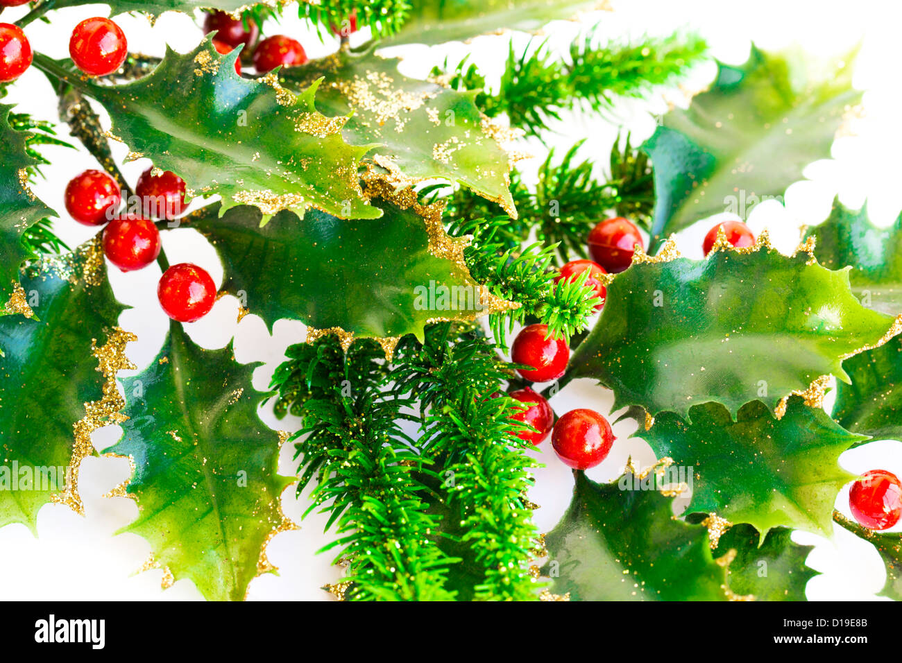 Holly berry plant with red berries on white background, Christmas ...