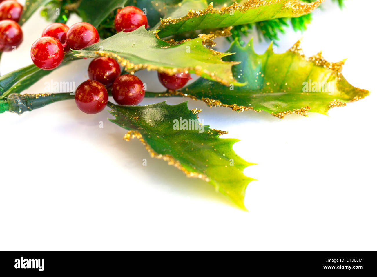 Holly berry plant with red berries on white background, Christmas decoration. Stock Photo