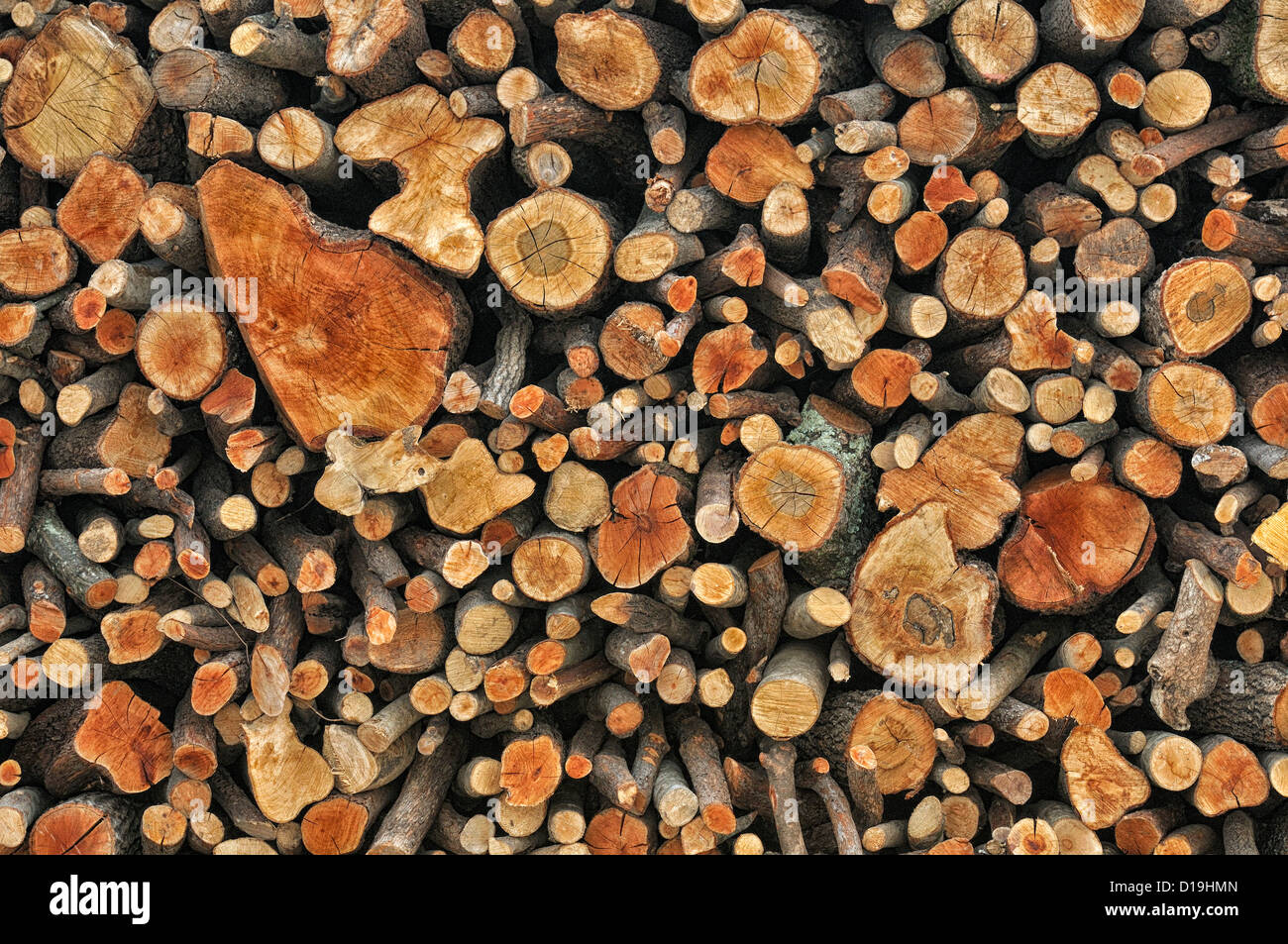 Italy horizontal woods cut roberto nistri timber lumber hires stock