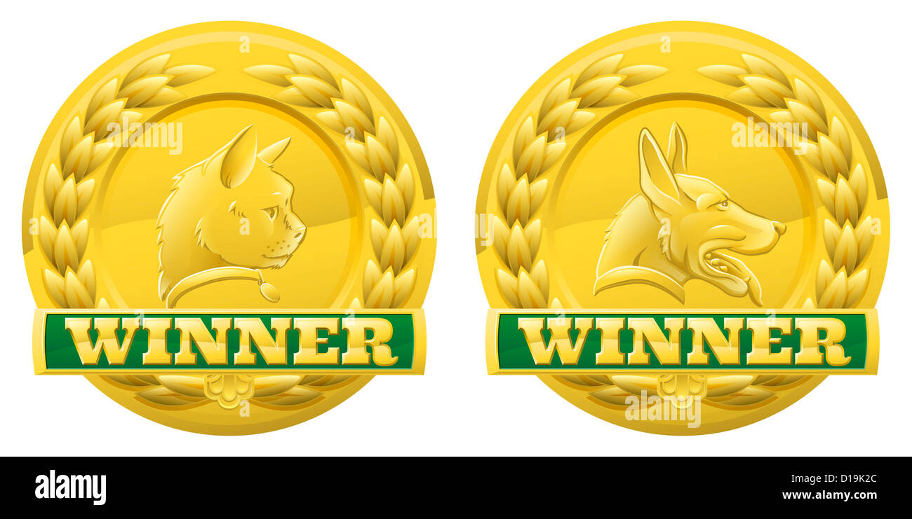 Gold cat and dog pet winners medals for pet shows or for pet related product reviews or other cat and dog pet competitions Stock Photo