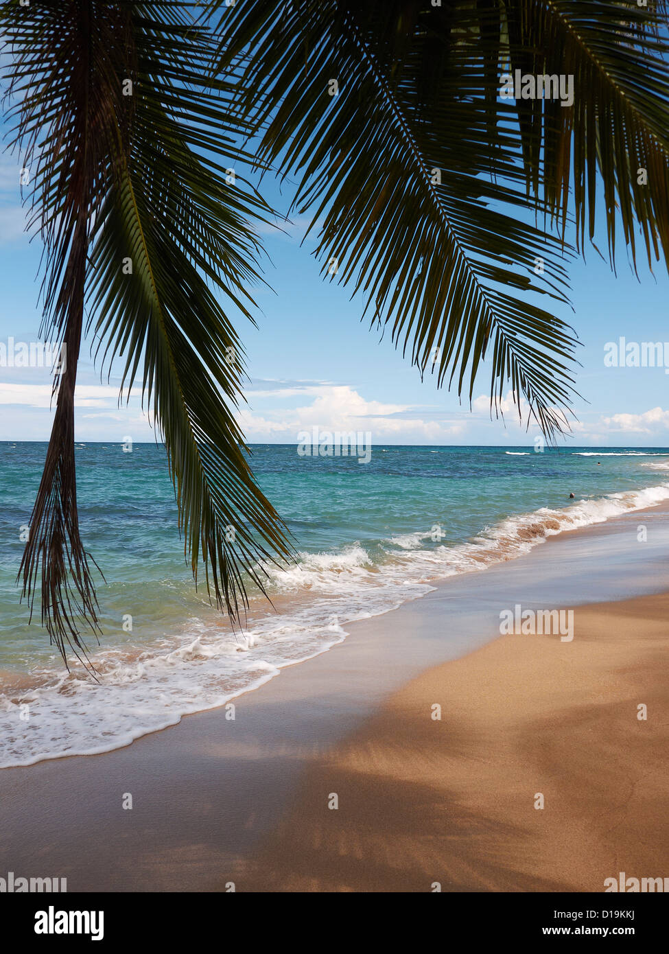 loneley beach of Punta Ufa; Puerto Viejo de Talamanca; Costa Rica; Central America Stock Photo