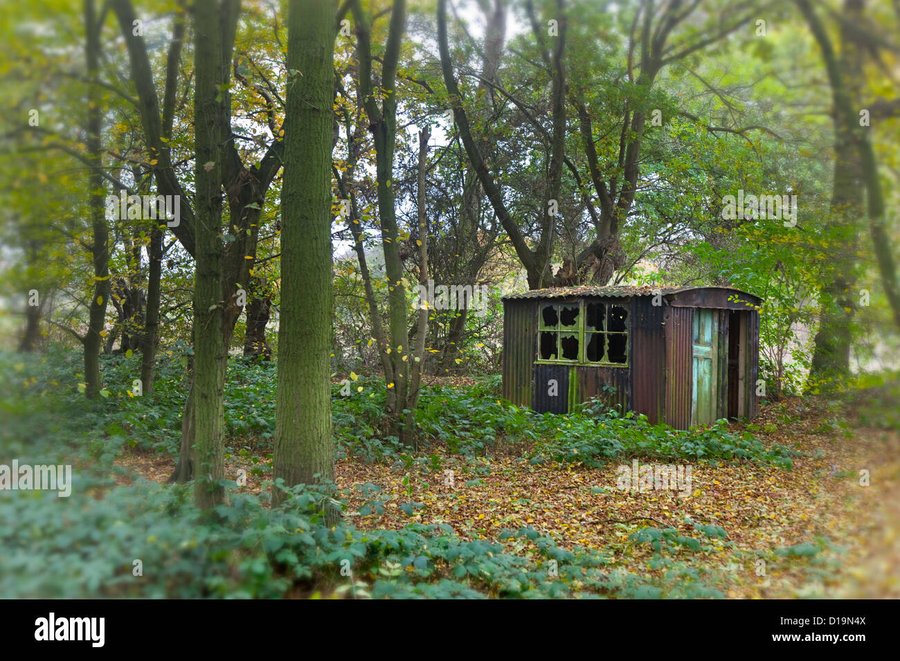 Old wood bodgers hut dating from 1930,s in Essex Hornbeam & Oak wood Stock Photo