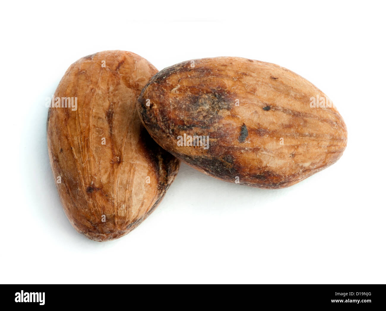 Cocoa beans close up. White isolated Stock Photo