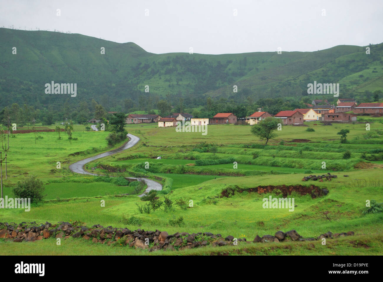 image of monsoon rains in a rural Maharashtra landscape