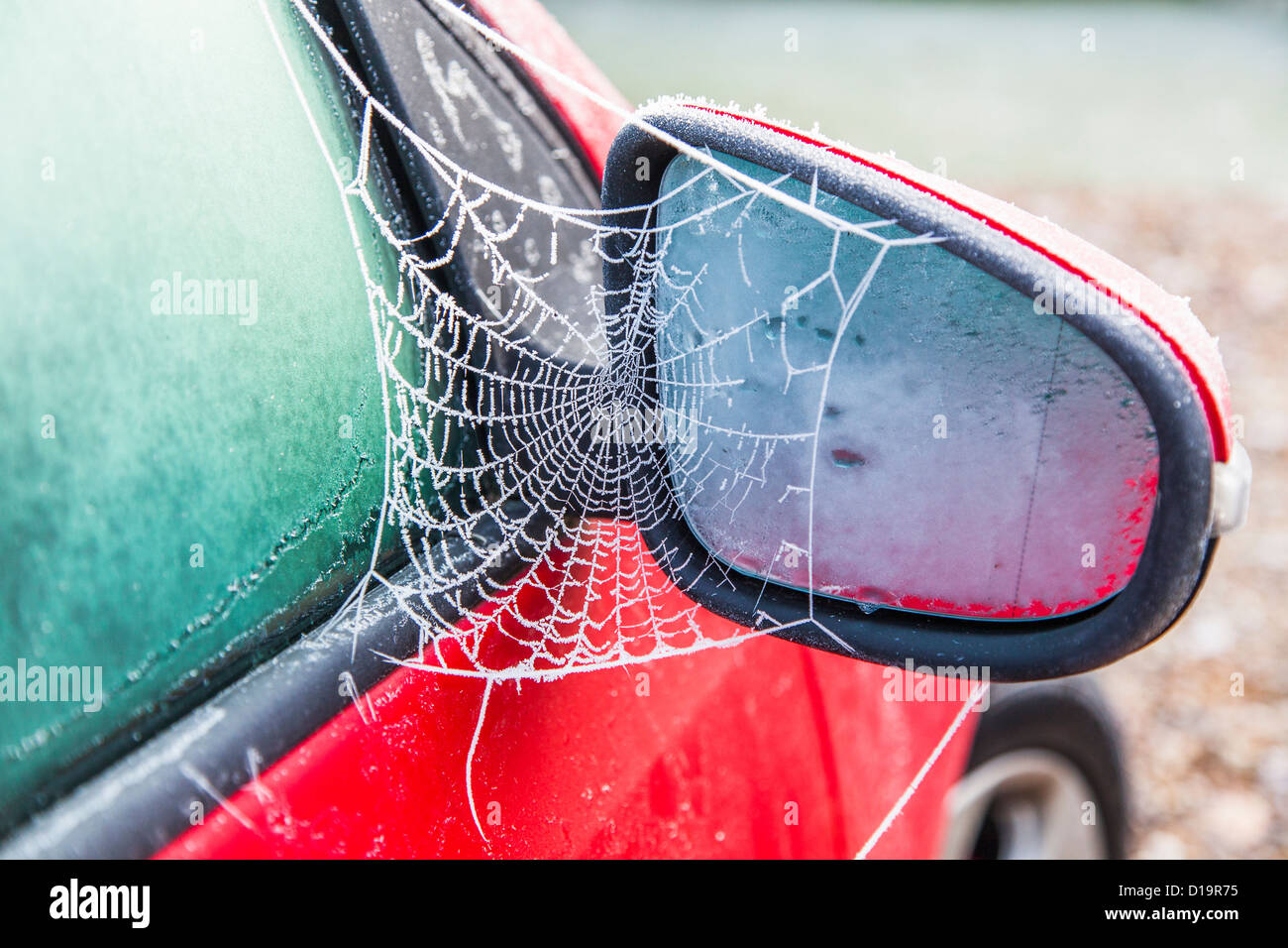 Frost on spider web hires stock photography and images Alamy
