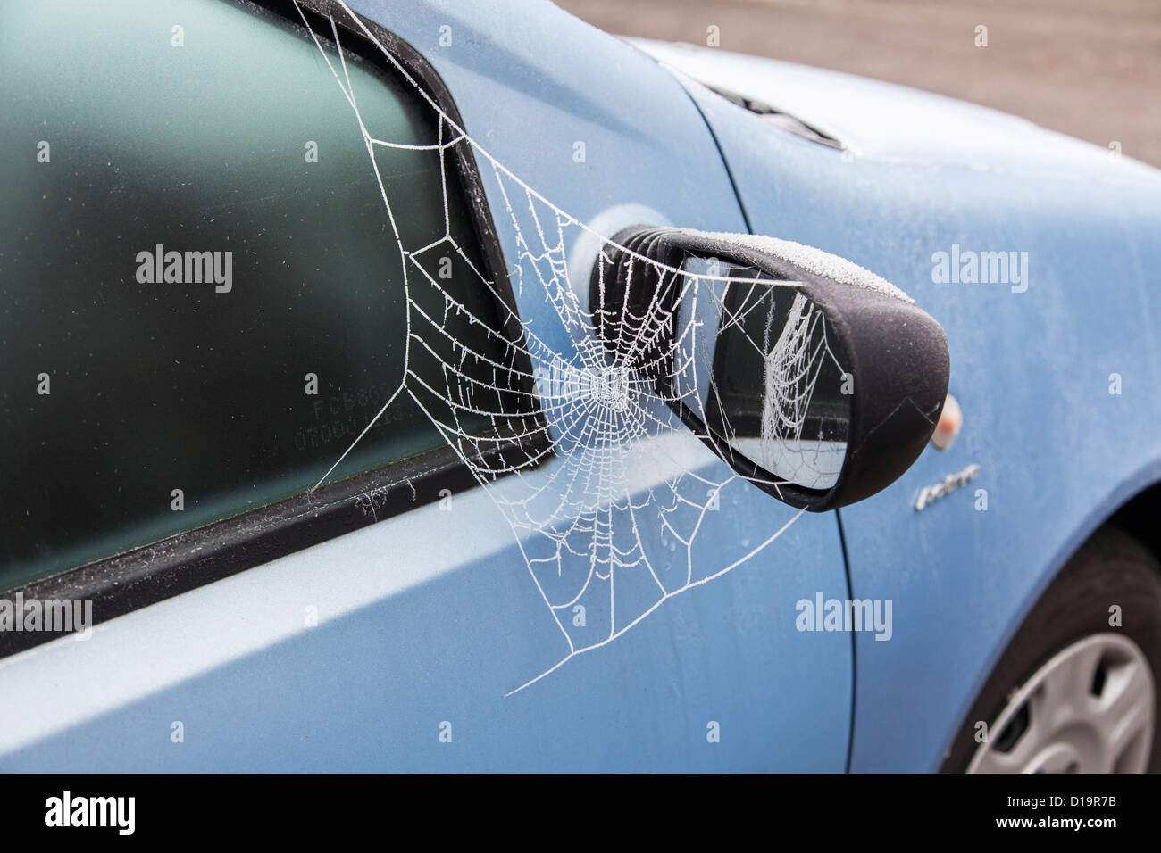 Frost on spider web hires stock photography and images Alamy