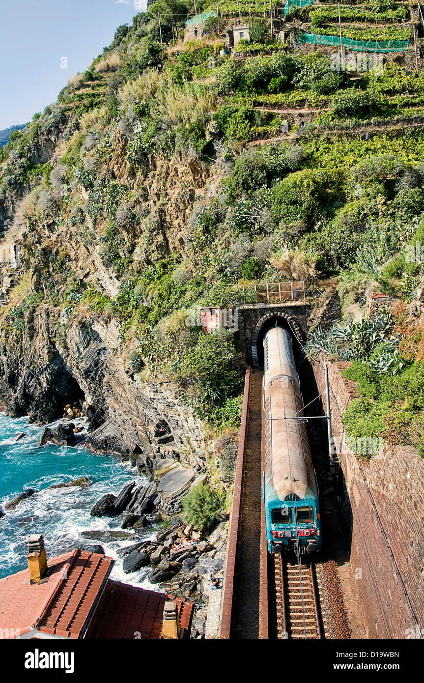 Italy; Cinque Terre; Manarola; railway train; seaside; Vernazza; grape vines; cliff Stock Photo