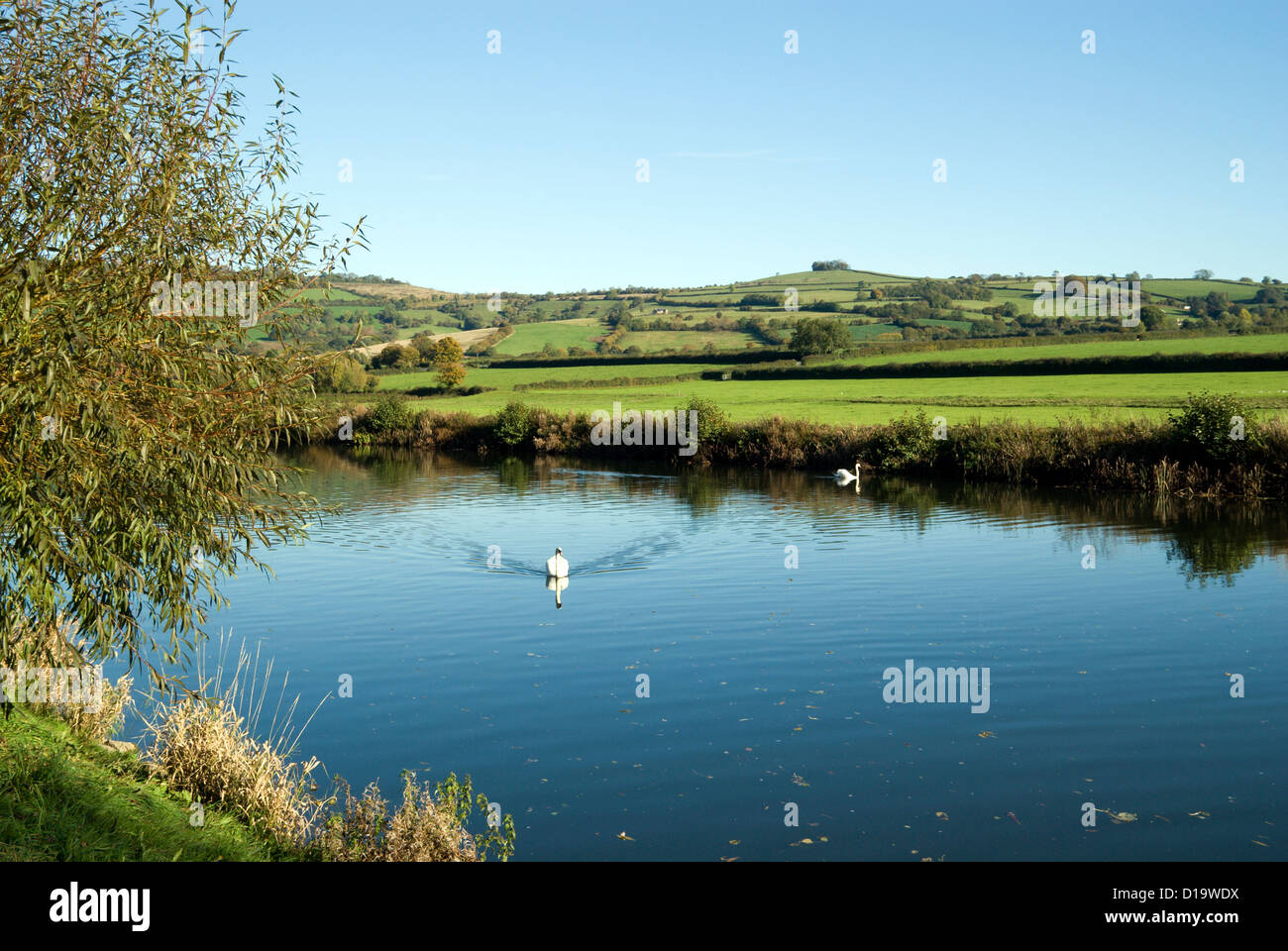 River Avon and Kelston Hill from Saltford near Bath, Somerset Stock