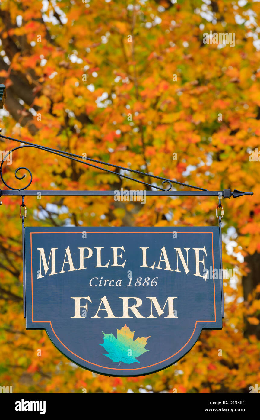 Maple Lane Farm, Vermont Stock Photo