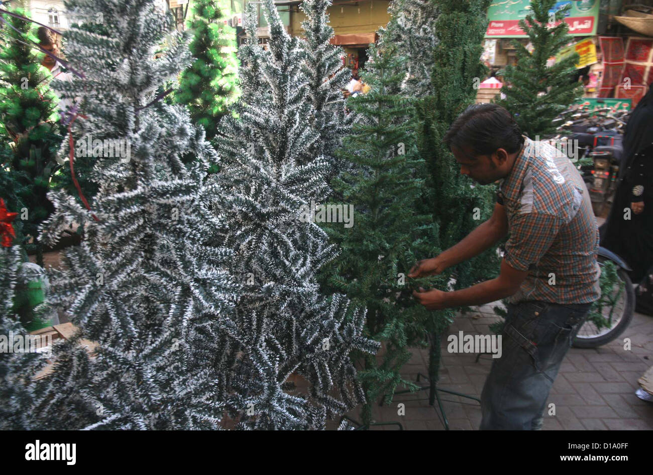 A man sells Christmas tree for home decoration in connection of