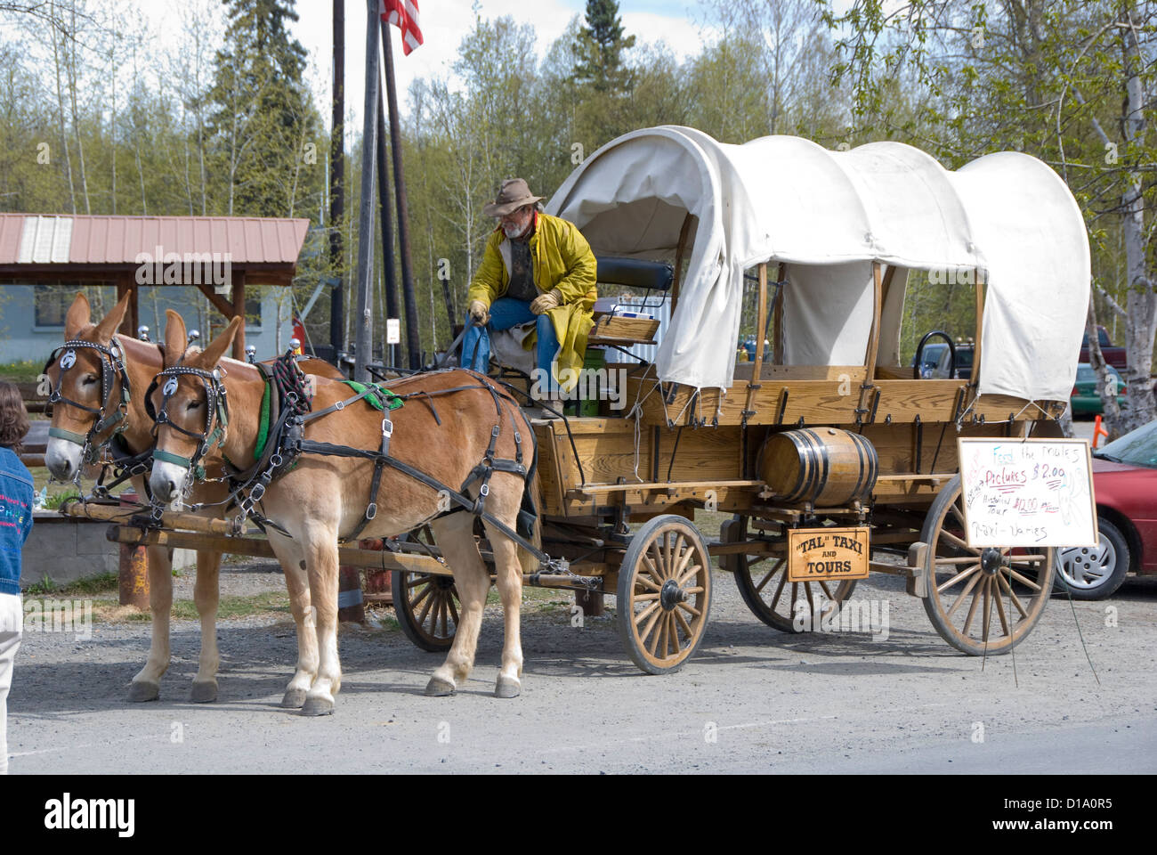 Talkeetna Tours covered wagon Alaska Stock Photo