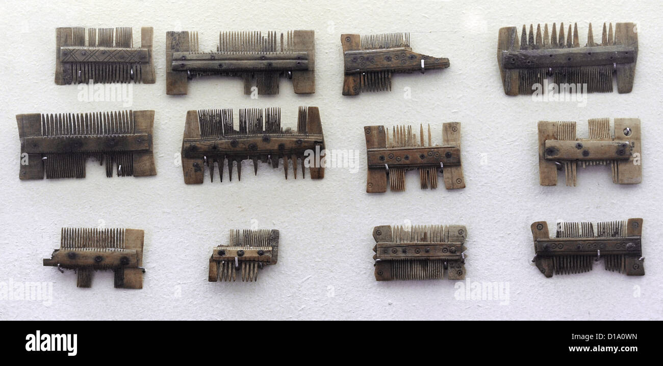 Combs in animal bone and horn. 12th-13th centuries. Museum of History and Navigation. Riga. Latvia. Stock Photo