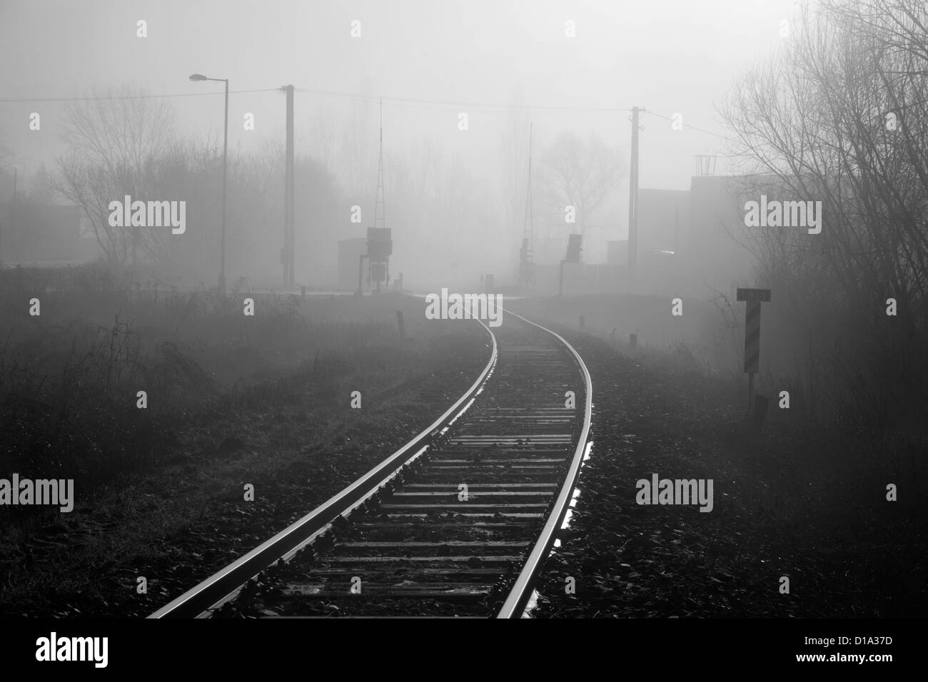 rails in the fog Stock Photo