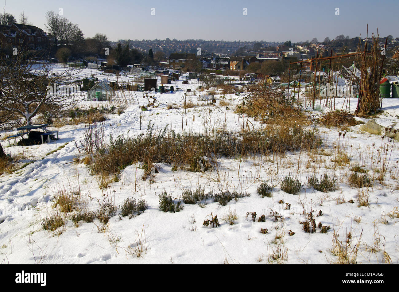 Cameron road hires stock photography and images Alamy
