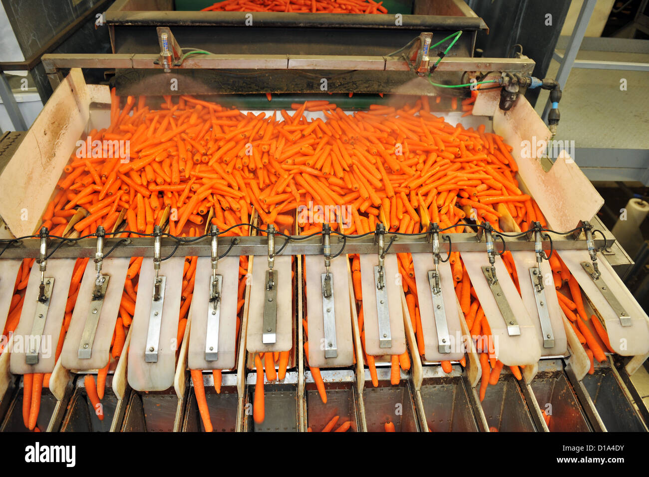 Vegetable packaging hires stock photography and images Alamy