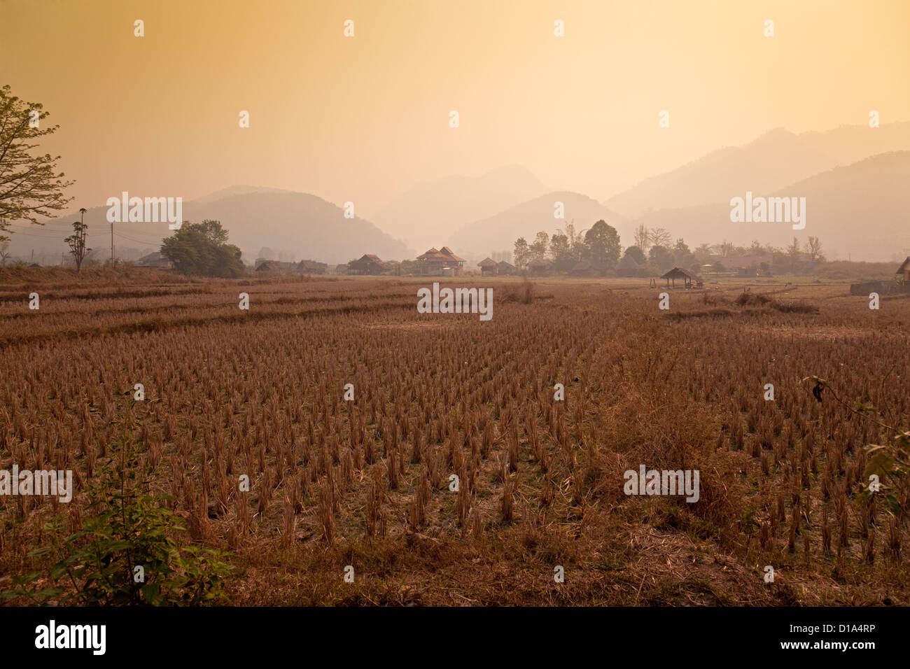 Dry paddie fields and farm land, Pai, Mae Hong Son Province, Thailand