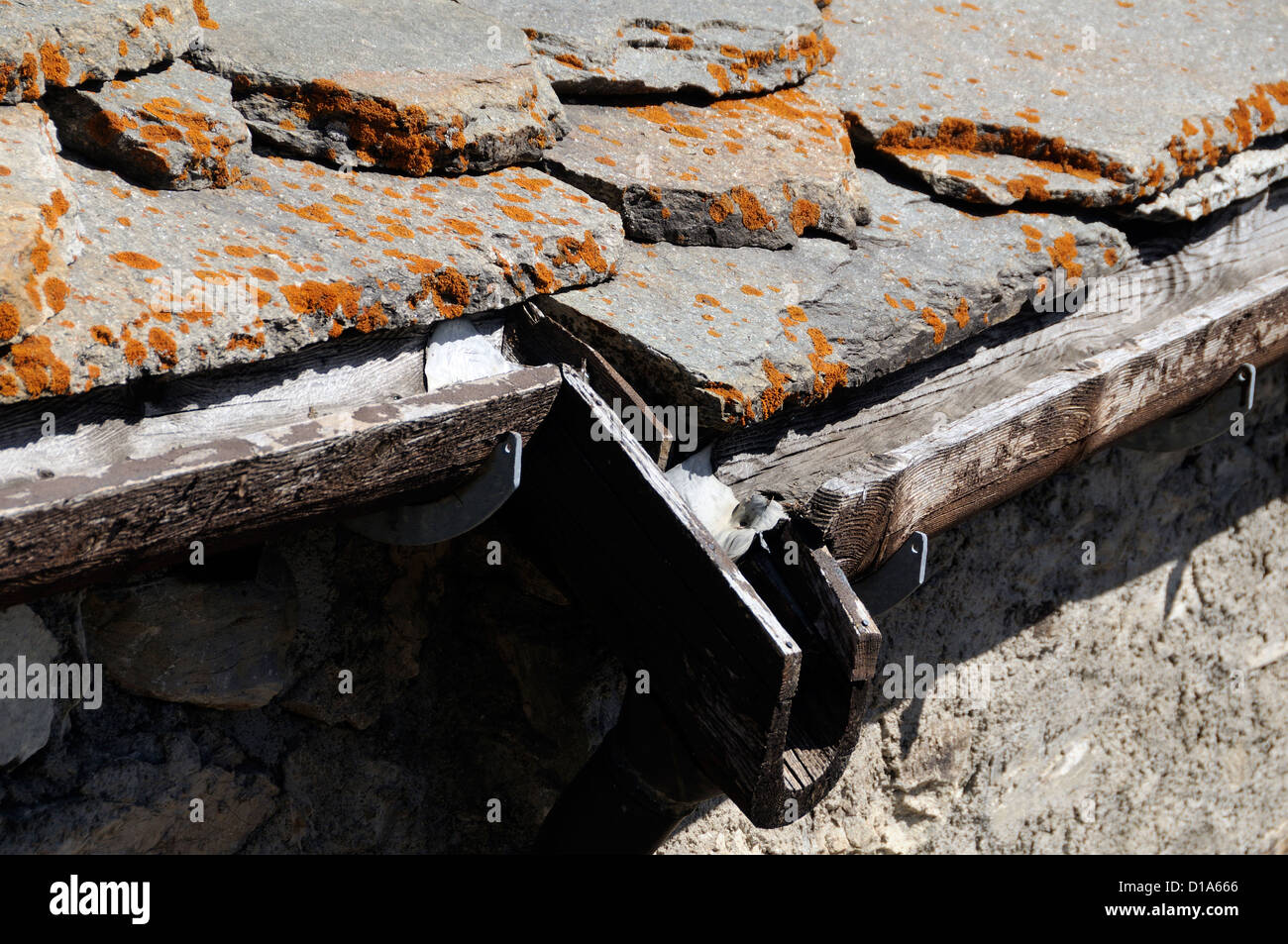 The roof of a traditional farm building with lichin covered stone tiles