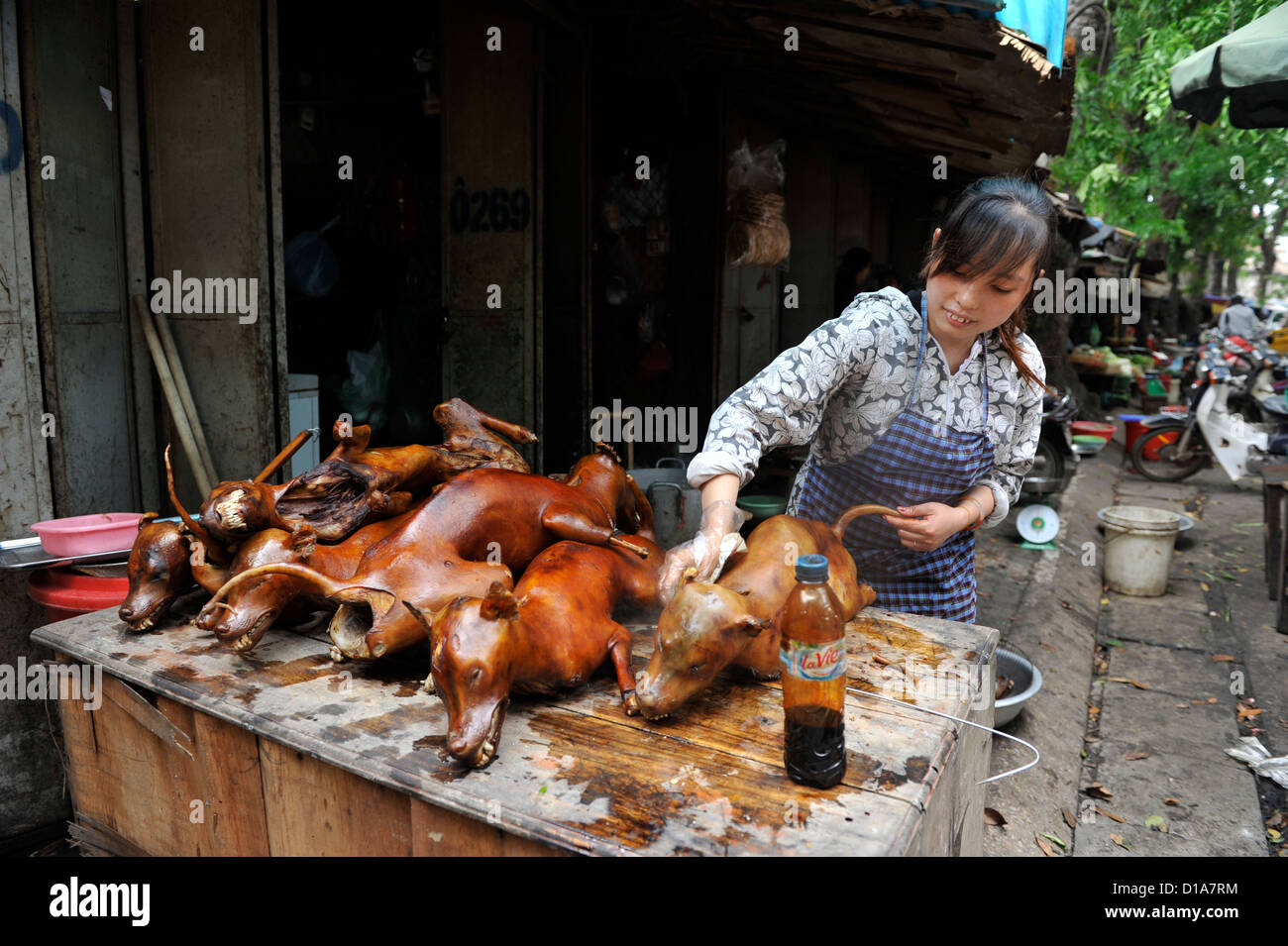 Dog cooking hi res stock photography and images Alamy