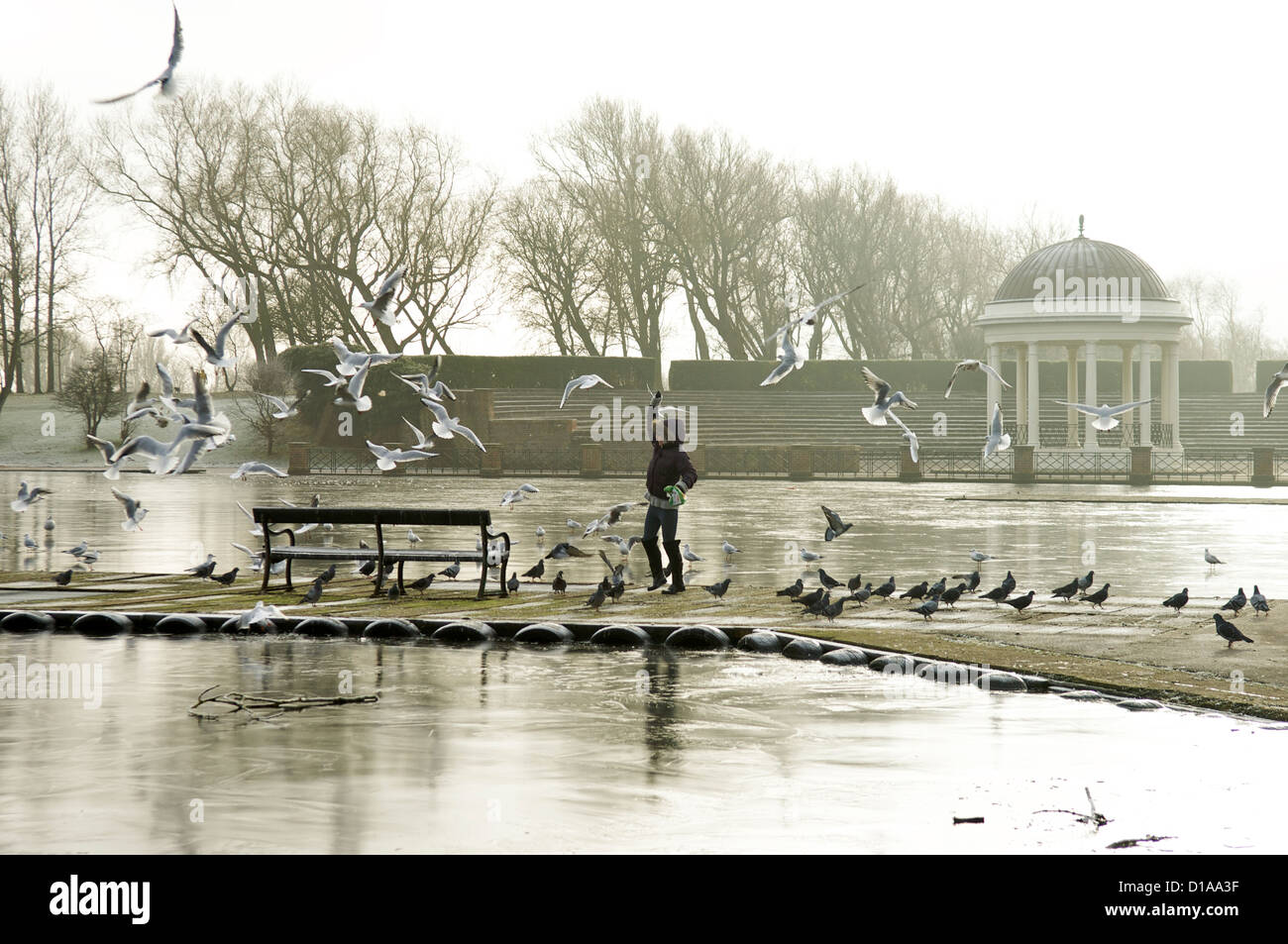 Feeding the birds on Stanley Park lake in the winter time Stock Photo