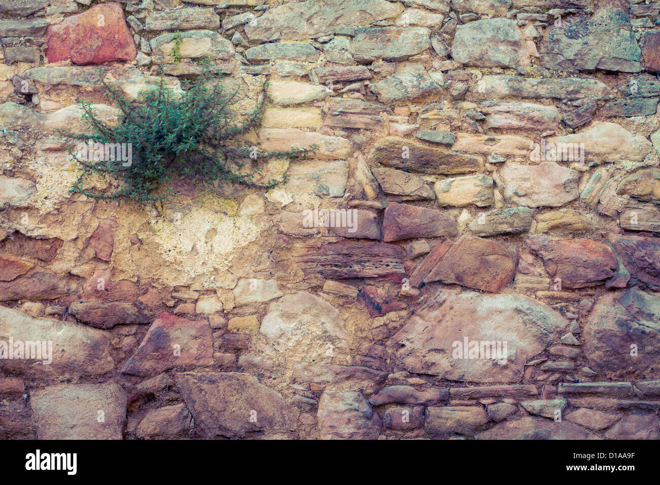 Solid yellow stone with plant background Stock Photo - Alamy