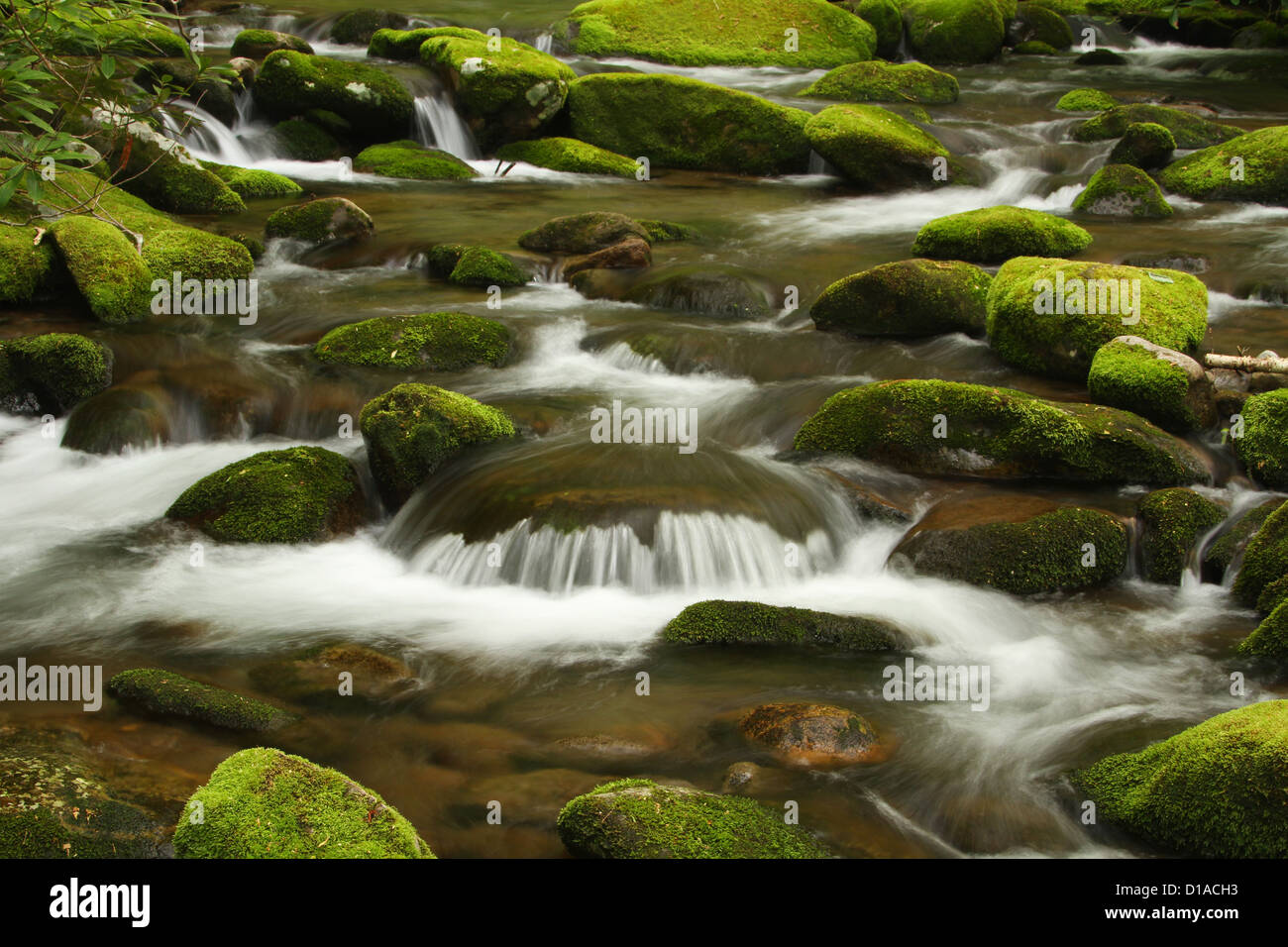 Green Moss Mountain Stream. Stock Photo