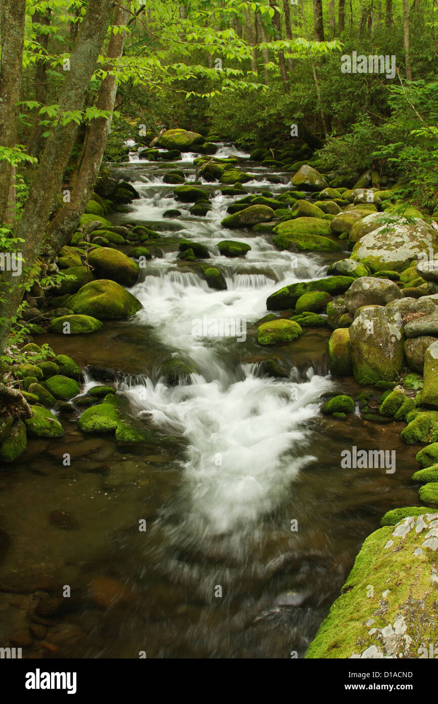 Stream and mountain hi-res stock photography and images - Alamy