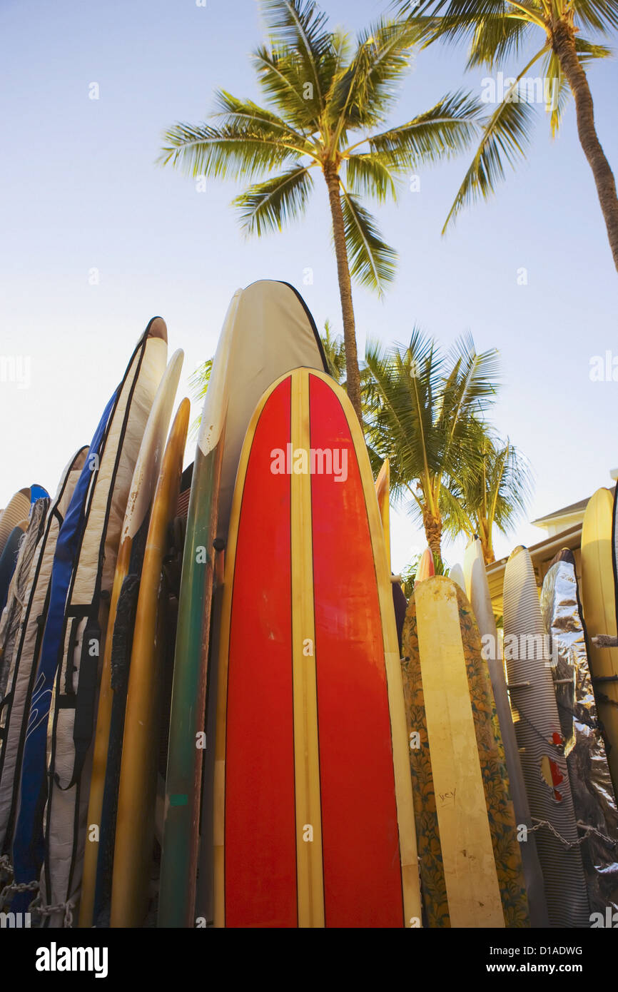 Hawaii, Oahu, Waikiki, CloseUp View Of Colorful Surfboards In