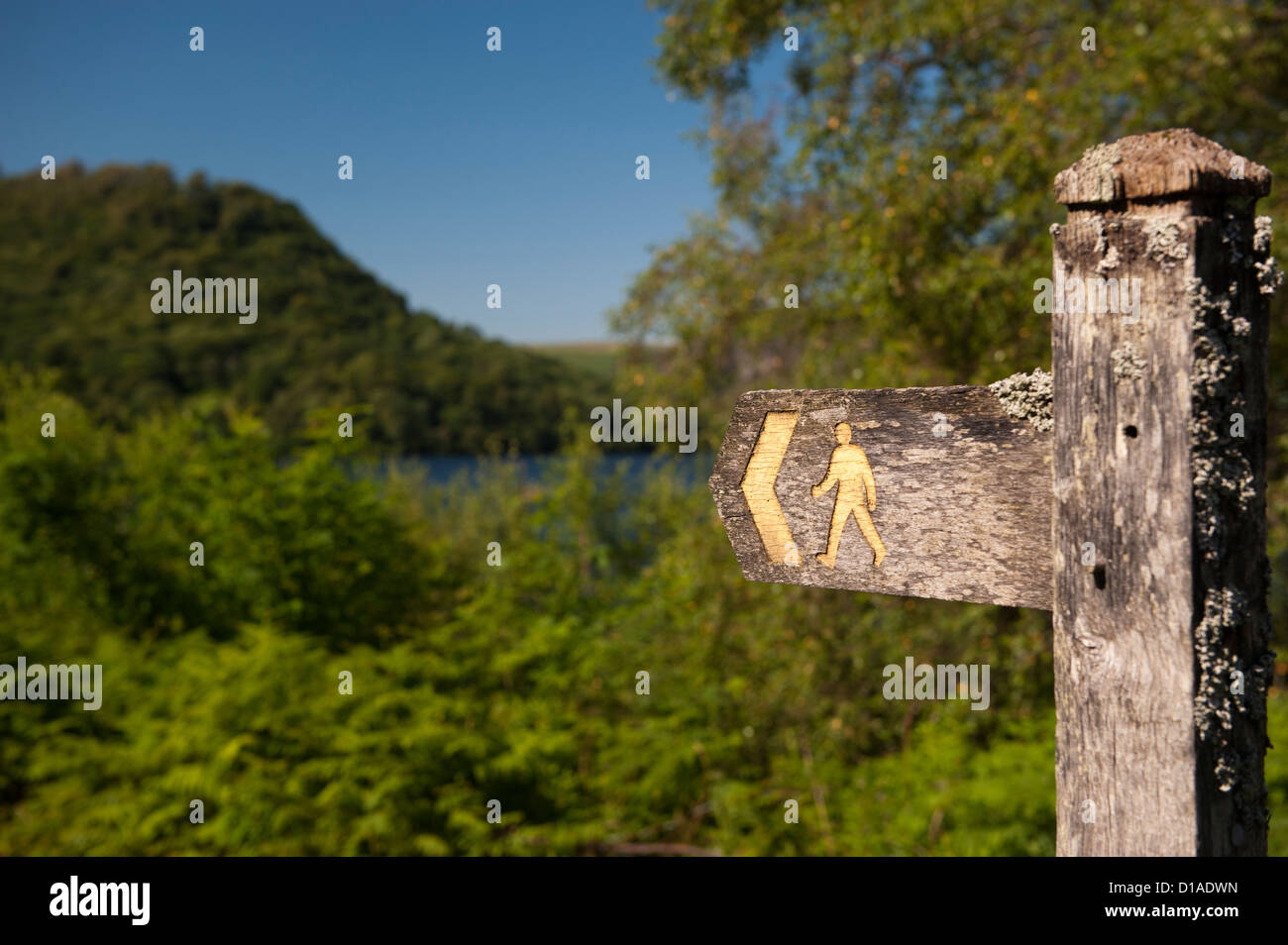 Wooden Footpath sign in the Elan Valley, Wales. Stock Photo
