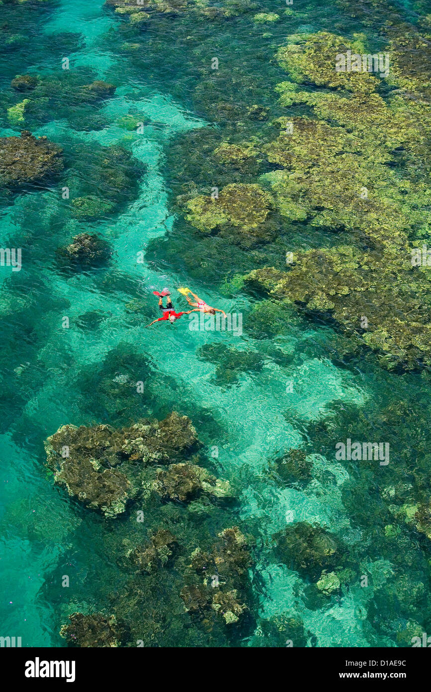 Hawaii, Maui, Couple Snorkeling In Ocean With Beautiful Coral