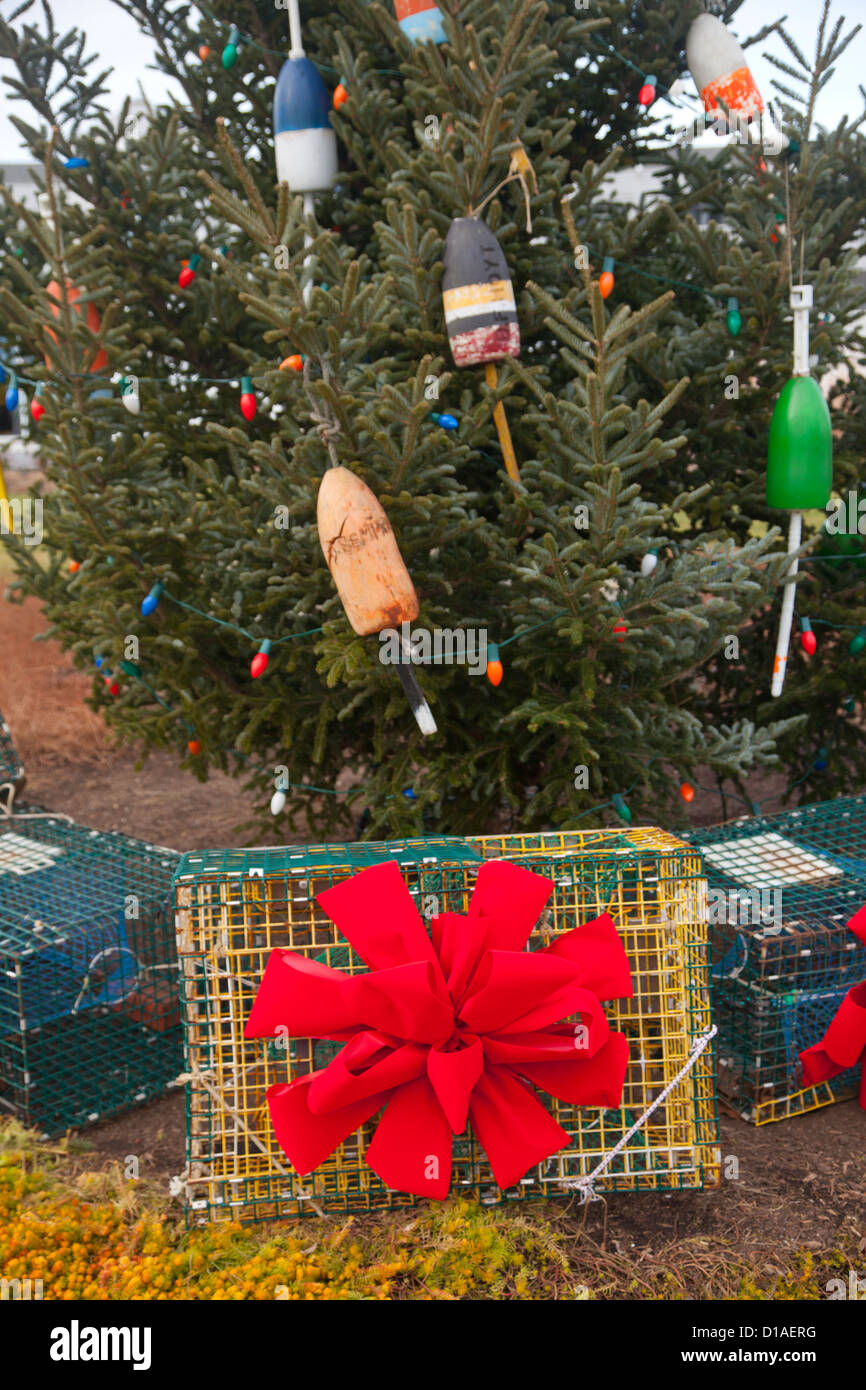 Christmas tree in Maine Stock Photo Alamy