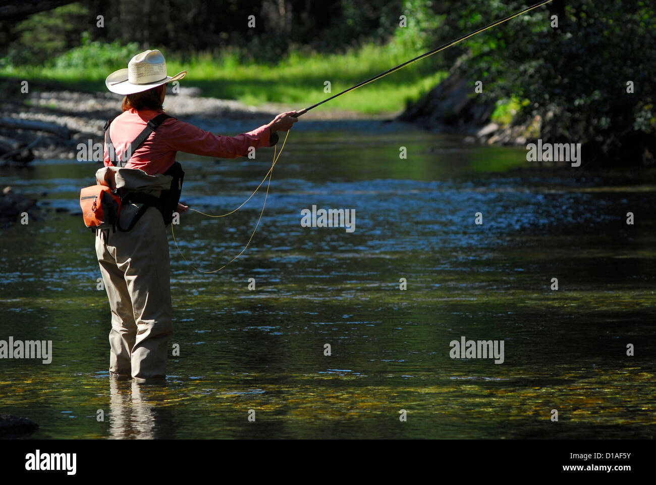 Woman fly fishing in the Lostine River, Northeast Oregon Stock Photo