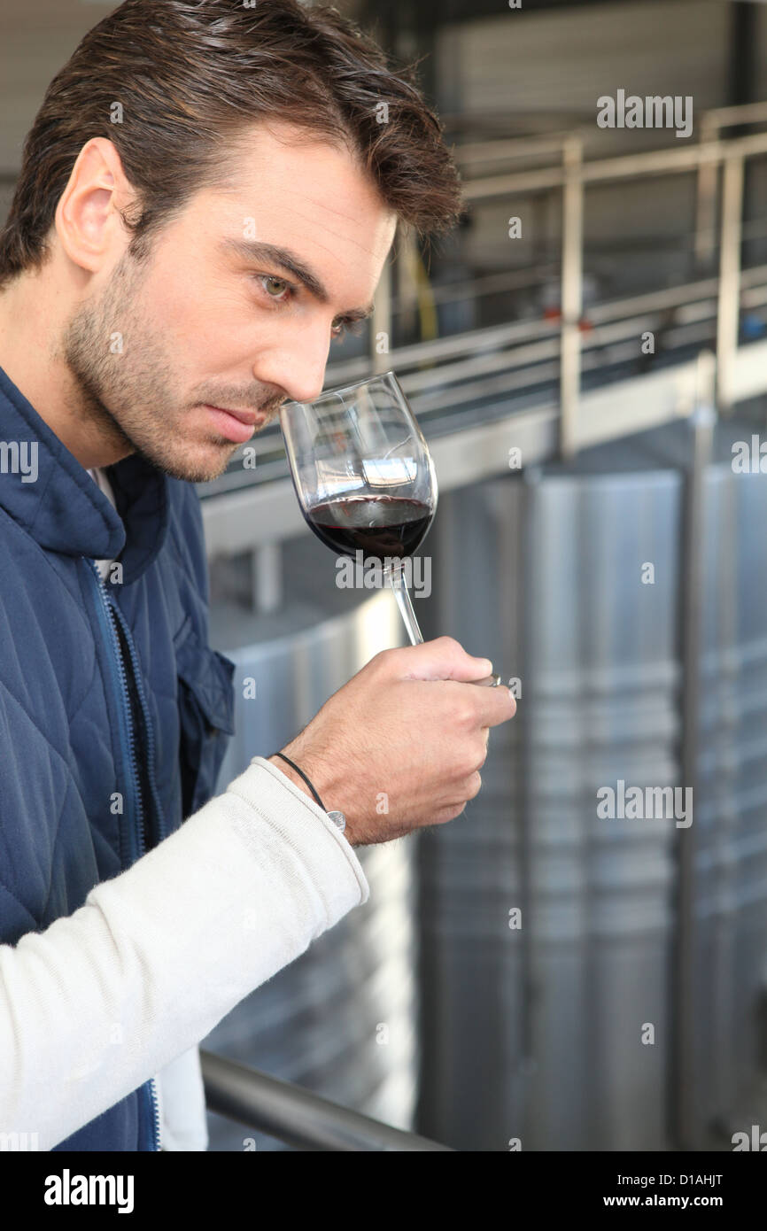Handsome man smelling wine Stock Photo - Alamy